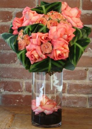 GLOW Latina in East York, ON | FETE BOUTIQUE FLORAL + EVENTS/ VAN BASSEN FLOWERS GLOW Latina in East York, ON | FETE BOUTIQUE FLORAL + EVENTS/ VAN BASSEN FLOWERS