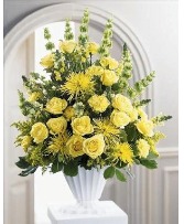 Glowing Ray S5-3790 Arrangement