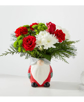 Gnome For the Holiday 