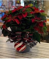 Gnome for the Holiday Plant 