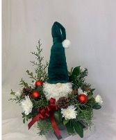 Gnome for the holidays  Arrangement
