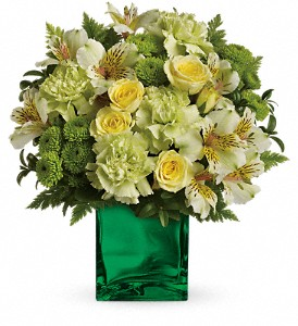 Go Green Vase Arrangement