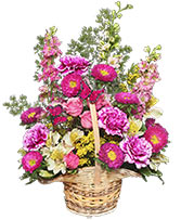Friendship Blooms Basket of Flowers