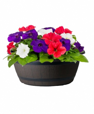 God Bless America Red White and Blue Color Bowl in Burns, OR | 4B Nursery And Floral