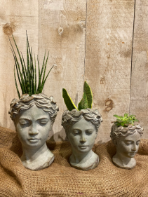 Goddess Heads planters