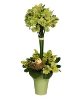 Going Green Topiary Arrangement