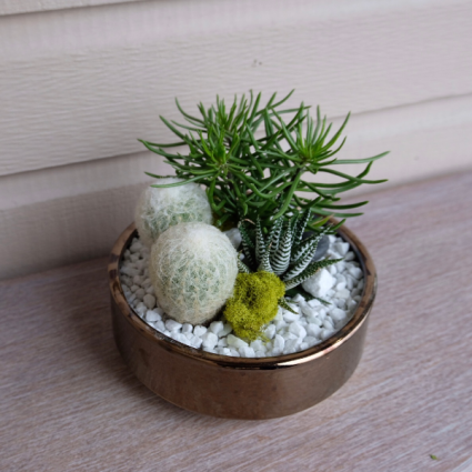 Gold Desert Planter