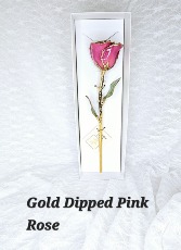 Gold Dipped Pink Rose 