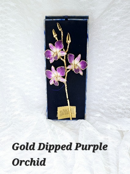 Gold Dipped Purple Orchid 