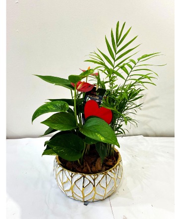 Gold Leaf Tropical Planter in Milton, ON | Milton's Flowers & Gifts