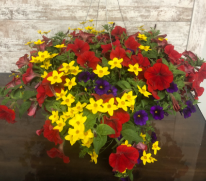 La Bomba Full Sun Hanging Basket