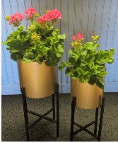 Gold plant stands 