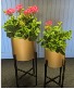Gold plant stands 