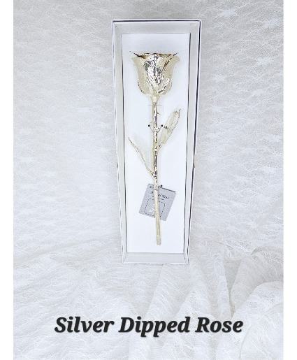 All Silver Rose 