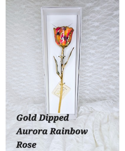 Aurora Rainbow Gold Rose 