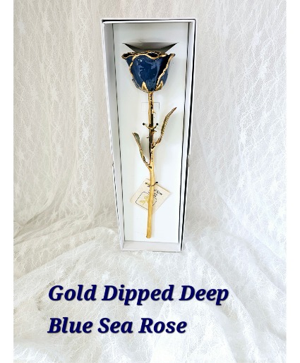 Deep Blue Sea Gold Rose 