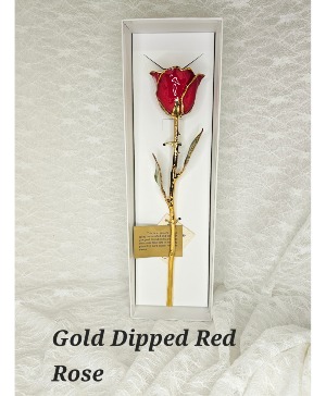 Gold Roses Red Gold Rose
