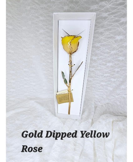 Yellow Gold Rose 