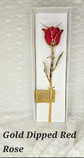 Gold Trimmed Rose Red 