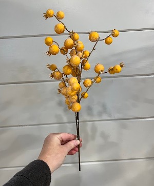 Golden Berries fall silk stem
