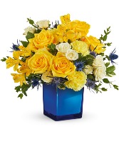 Golden Blue TEV70-4