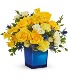 Golden Blue TEV70-4