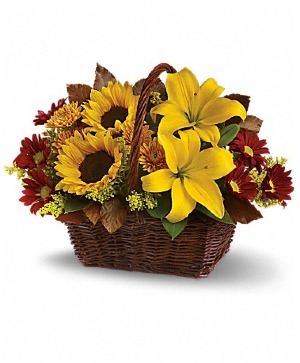 Golden Days T174-2A Arrangement
