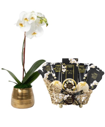 Golden Elegance Orchid Set  