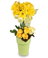 Golden Garden Topiary * availability may be limited