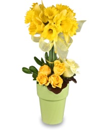 Golden Garden Topiary * availability may be limited