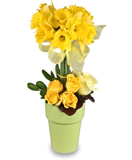 Golden Garden Topiary * availability may be limited