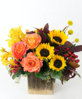 GOLDEN GLORY Vase Arrangement