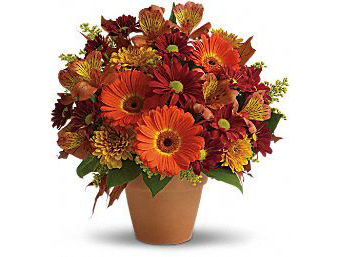 Golden Glow Arrangement