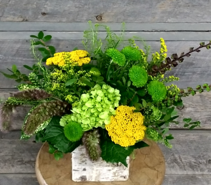 Golden Glow Container