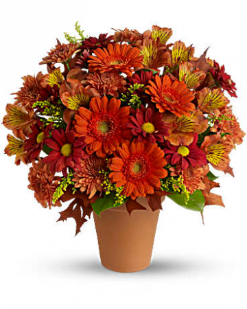 Golden Glow Fall Arrangement