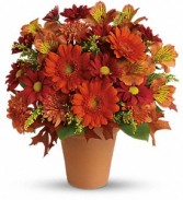 Golden Glow Fresh Floral Arrangement