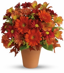 Golden Glow Vase Arrangement