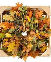Golden & Green Harvest Oak Leaf Wreath