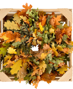Golden & Green Harvest Oak Leaf Wreath