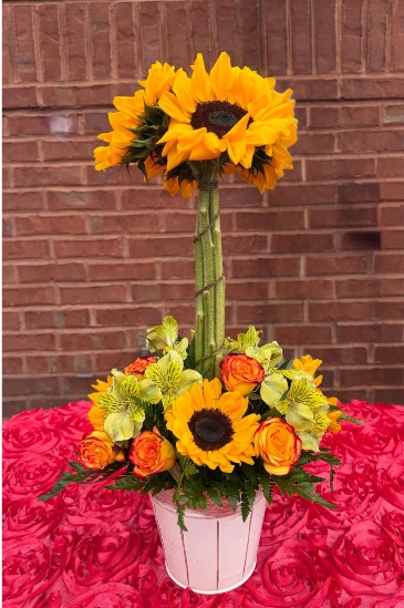 Golden Hour in Mcdonough, GA | Parade of Flowers Golden Hour in Mcdonough, GA | Parade of Flowers