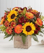 Golden Hour  Arrangement 