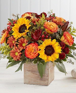 Golden Hour  Arrangement 