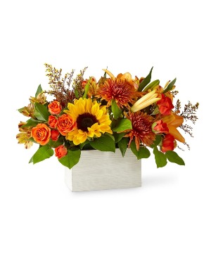 Golden Hour Boxed Bouquet