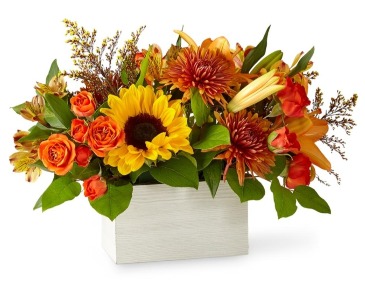 Golden Hour Boxed Bouquet in Frederick, MD | Maryland Florals