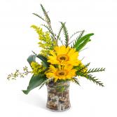Golden Morning Arrangement