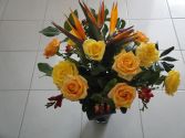 GOLDEN DAZE - Just Because Flowers, Welcome Home Flowers, Prince George BC: AMAPOLA BLOSSOMS