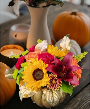 Golden Pumpkin Fairy Tales Flowers Exclusive