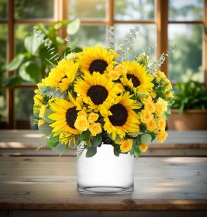 Golden Radiance 