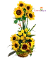 Golden Serenade Flower Arrangement