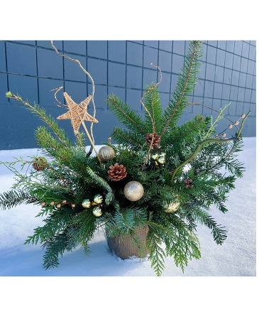 Golden Winter Glow Arrangement (Container may vary) in Winnipeg, MB | CHARLESWOOD FLORISTS